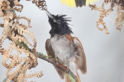 Lot 3693 - A late Victorian taxidermy diorama of Indian...