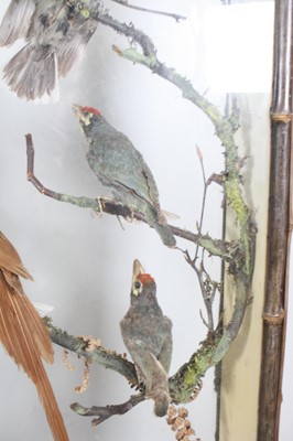 Lot 3693 - A late Victorian taxidermy diorama of Indian...
