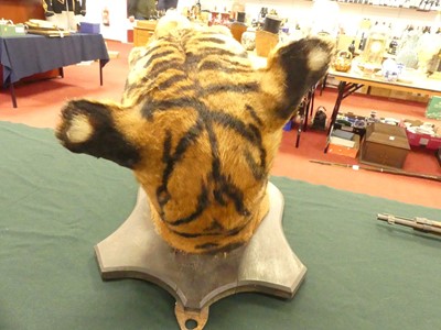 Lot 949 - An early 20th century taxidermy Bengal Tiger...