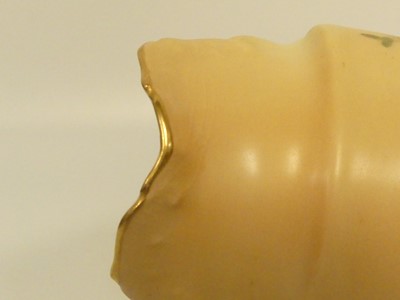 Lot 246 - A collection of Royal Worcester blush ivory...