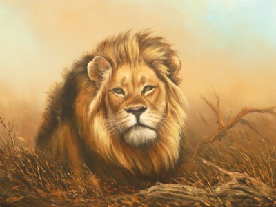 Lot 1013 - John F Sim - Lion study, oil on canvas, signed...