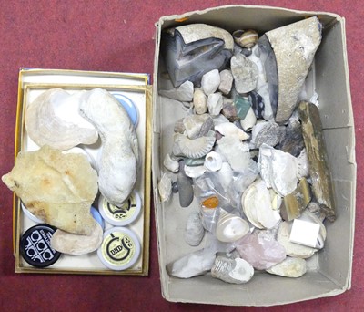 Lot 152 - A collection of fossils and minerals, to...