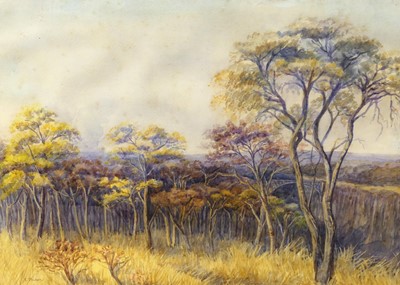 Lot 1018 - Edith Struben (South African) (1868-1936) -...