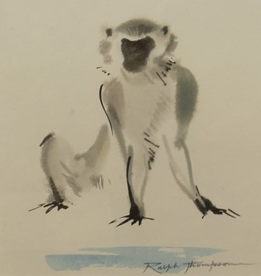 Lot 1062 - Ralph Thompson - Vervet Monkey, watercolour,...