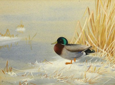 Lot 1121 - Philip Rickman (1891-1982) - Duck in winter,...