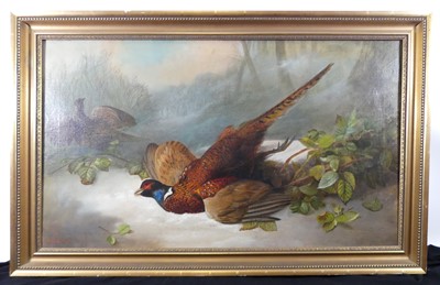 Lot 3569 - John Russell - Two pheasants, oil on canvas,...