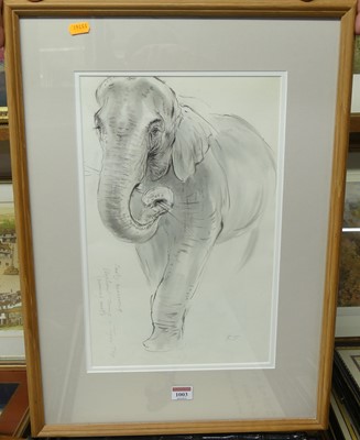 Lot 1003 - Ralph Thompson - Asian Elephant, sepia...