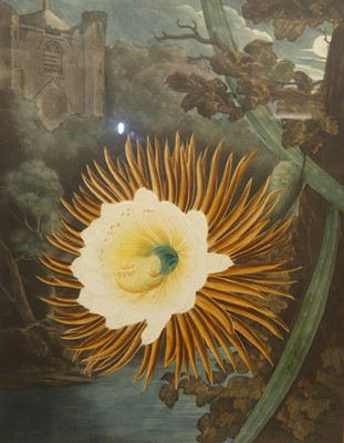 Lot 1007 - Richard Earlom - Night Blooming Cereus,...