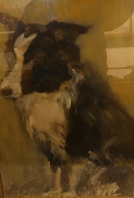 Lot 1054 - G.E. Roberts - Study of a Border Collie, oil,...