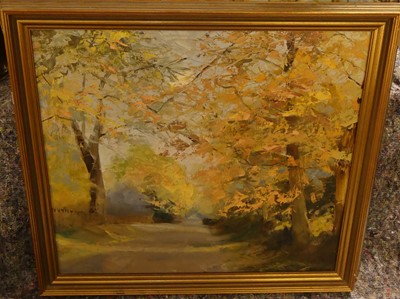 Lot 1059 - Sheelah Michalski - Woodland scene, oil on...