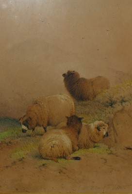 Lot 1104 - Frederick E. Walter - Sheep in a Highland...