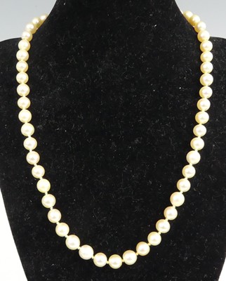 Lot 455 - A cultured and knotted pearl single string...