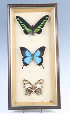 Lot 3611 - Lepidoperology, a collection of three...
