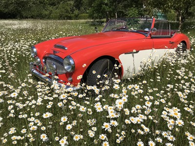 Lot 2909 - A 1962 Austin Healey 3000 Mk2 BT7. Reg No....