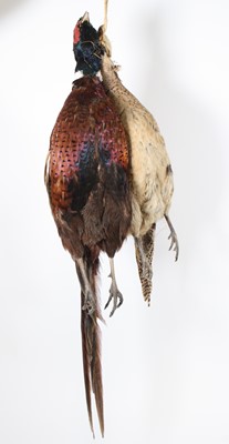Lot 3627 - A brace of taxidermy male and female pheasants...