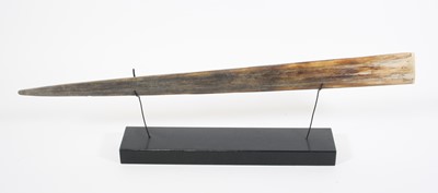 Lot 3657 - A taxidermy Marlin (Makaira nigricans) bill,...