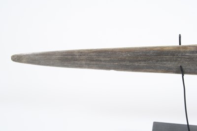 Lot 3657 - A taxidermy Marlin (Makaira nigricans) bill,...