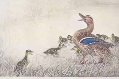 Lot 3577 - Leon Danchin (1887-1939), Mallard and...