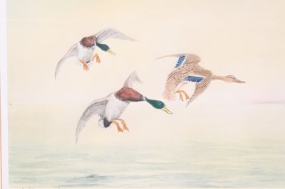 Lot 3575 - Leon Danchin (1887-1939), three Mallards in...