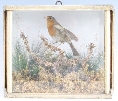 Lot 3588 - A Victorian taxidermy European...