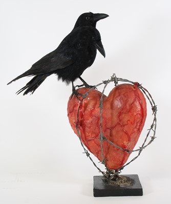 Lot 3683 - A taxidermy doubled headed Crow (Corvus corax),...