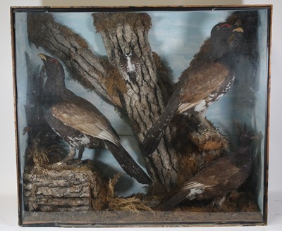 Lot 3695 - A large Victorian taxidermy group to include...