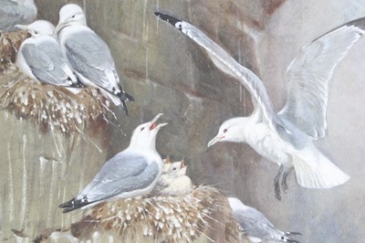 Lot 3582 - Allen William Seaby (British, 1867-1954),...