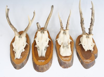 Lot 3597 - A collection of eight 1960's hunting trophies,...