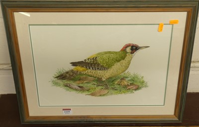 Lot 1119 - Benjamin Perkins - Study of a woodpecker,...