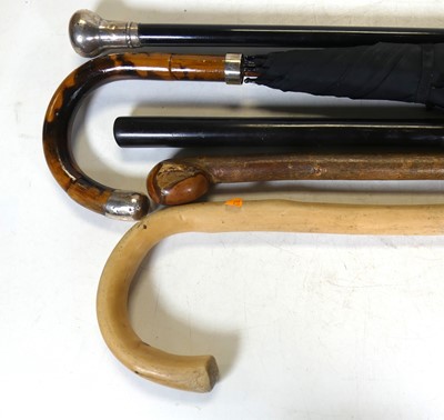 Lot 503 - A silver topped walking cane, an umbrella and...