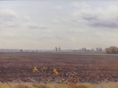 Lot 253 - Anthony Day (1922-2023) - Late Autumn Fens,...