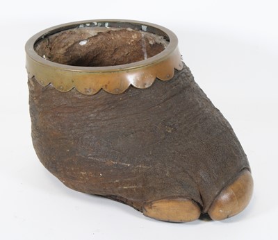 Lot 919 - A late 19th century taxidermy Elephant...