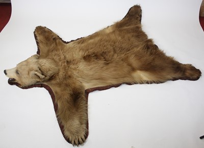 Lot A taxidermy North American Black Bear skin rug...