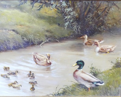 Lot 1085 - Early 20th century English school - Ducks on...