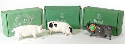 Lot 150 - A Beswick Large White boar, Ch. Wall Champion...
