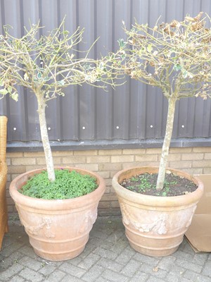 Lot 1382 - A pair of large terracotta circular garden...