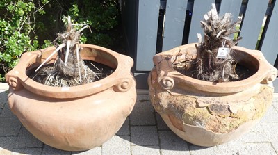 Lot 1394 - A pair of large terracotta planters, each with...