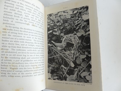 Lot 2028 - MASSINGHAM, H.J.; Birds of the Seashore, 1931,...