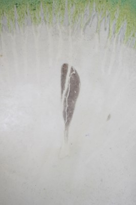 Lot 11 - A 1930s Clarice Cliff 'Delicia Citrus' pattern...