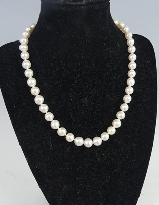 Lot 418 - A single row necklace of forty-four 8 to 8.4mm...