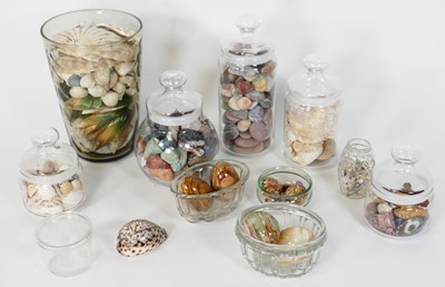 Lot 50 - A collection of seashells, stones and mineral...