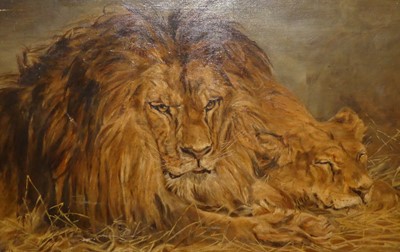 Lot 1008 - L Allen - lion study, oil on canvas, signed...