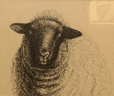 Lot 1039 - Two Bryn cartoon prints, two ink studies of...