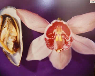 Lot 1040 - Juley Hudson - Mantel I, 1997, colour...