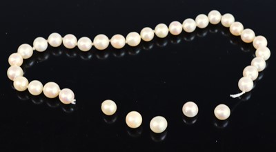 Lot 344 - A single knotted string of Akoya pearls,...