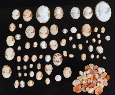 Lot 387 - A large quantity of loose carved shell cameos...
