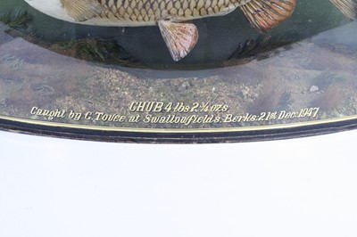 Lot 903 - A mid-20th century taxidermy Chub (Leuciscus...