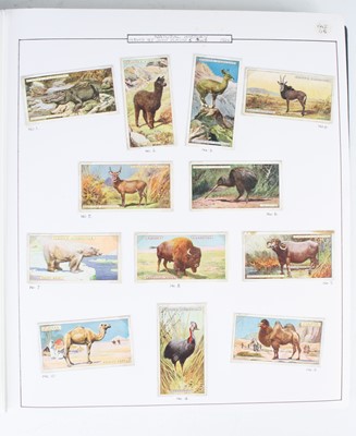 Lot 378 - An album of cigarette cards, neatly arranged...