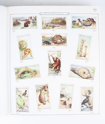 Lot 376 - An album of cigarette cards, neatly arranged...