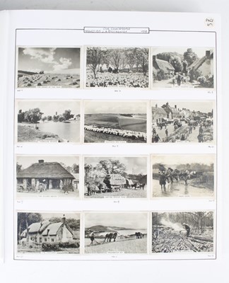 Lot 382 - An album of cigarette cards, neatly arranged...